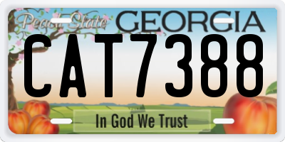 GA license plate CAT7388