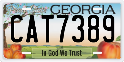 GA license plate CAT7389