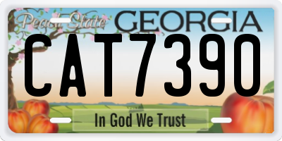 GA license plate CAT7390