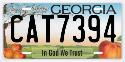 GA license plate CAT7394