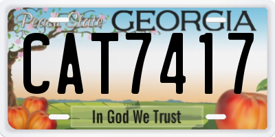 GA license plate CAT7417