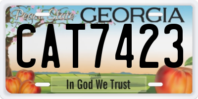 GA license plate CAT7423