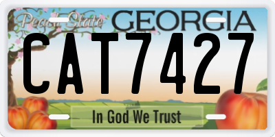 GA license plate CAT7427