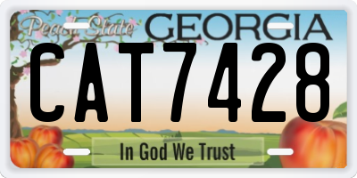 GA license plate CAT7428