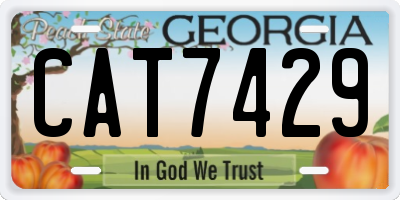 GA license plate CAT7429