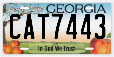 GA license plate CAT7443