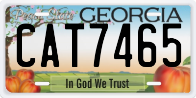 GA license plate CAT7465