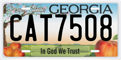 GA license plate CAT7508