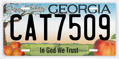 GA license plate CAT7509