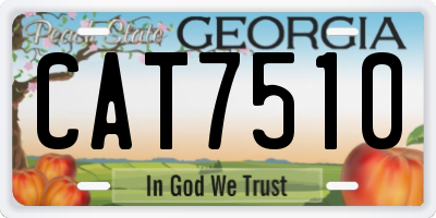 GA license plate CAT7510