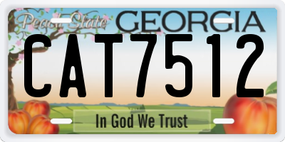 GA license plate CAT7512