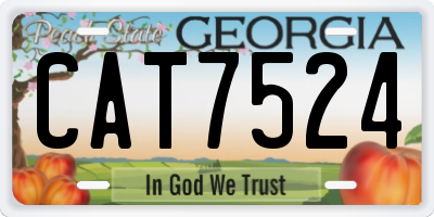GA license plate CAT7524