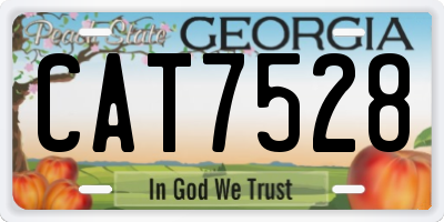 GA license plate CAT7528
