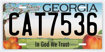 GA license plate CAT7536