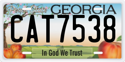 GA license plate CAT7538