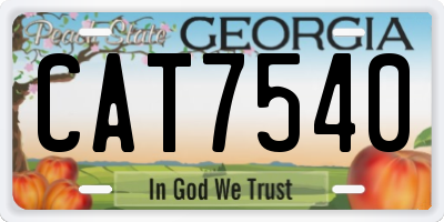 GA license plate CAT7540