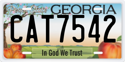 GA license plate CAT7542