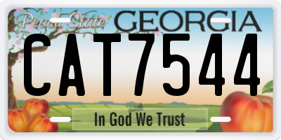 GA license plate CAT7544