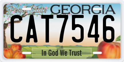 GA license plate CAT7546