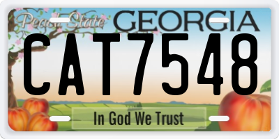 GA license plate CAT7548
