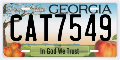 GA license plate CAT7549