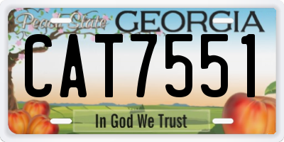 GA license plate CAT7551