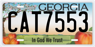 GA license plate CAT7553