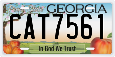 GA license plate CAT7561