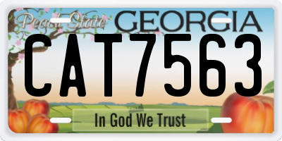 GA license plate CAT7563