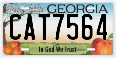 GA license plate CAT7564