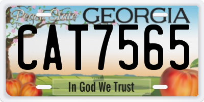 GA license plate CAT7565