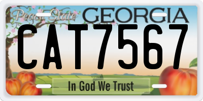 GA license plate CAT7567
