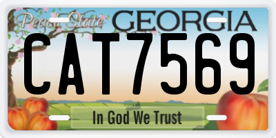 GA license plate CAT7569