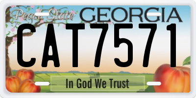 GA license plate CAT7571