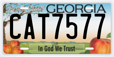 GA license plate CAT7577