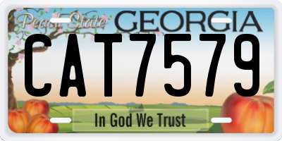 GA license plate CAT7579