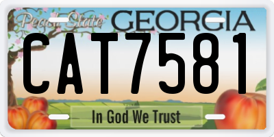 GA license plate CAT7581