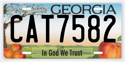 GA license plate CAT7582