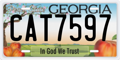 GA license plate CAT7597