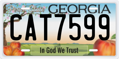 GA license plate CAT7599