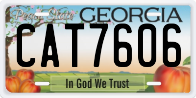 GA license plate CAT7606