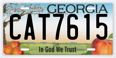 GA license plate CAT7615