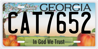 GA license plate CAT7652