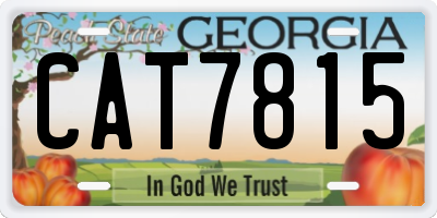 GA license plate CAT7815