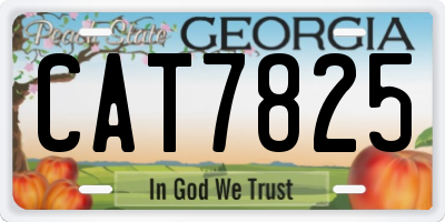 GA license plate CAT7825