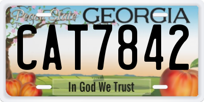 GA license plate CAT7842
