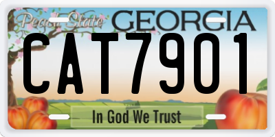 GA license plate CAT7901