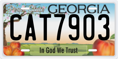 GA license plate CAT7903
