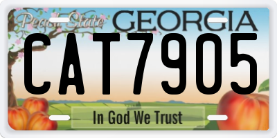 GA license plate CAT7905