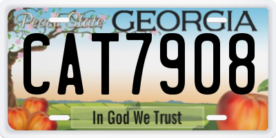 GA license plate CAT7908